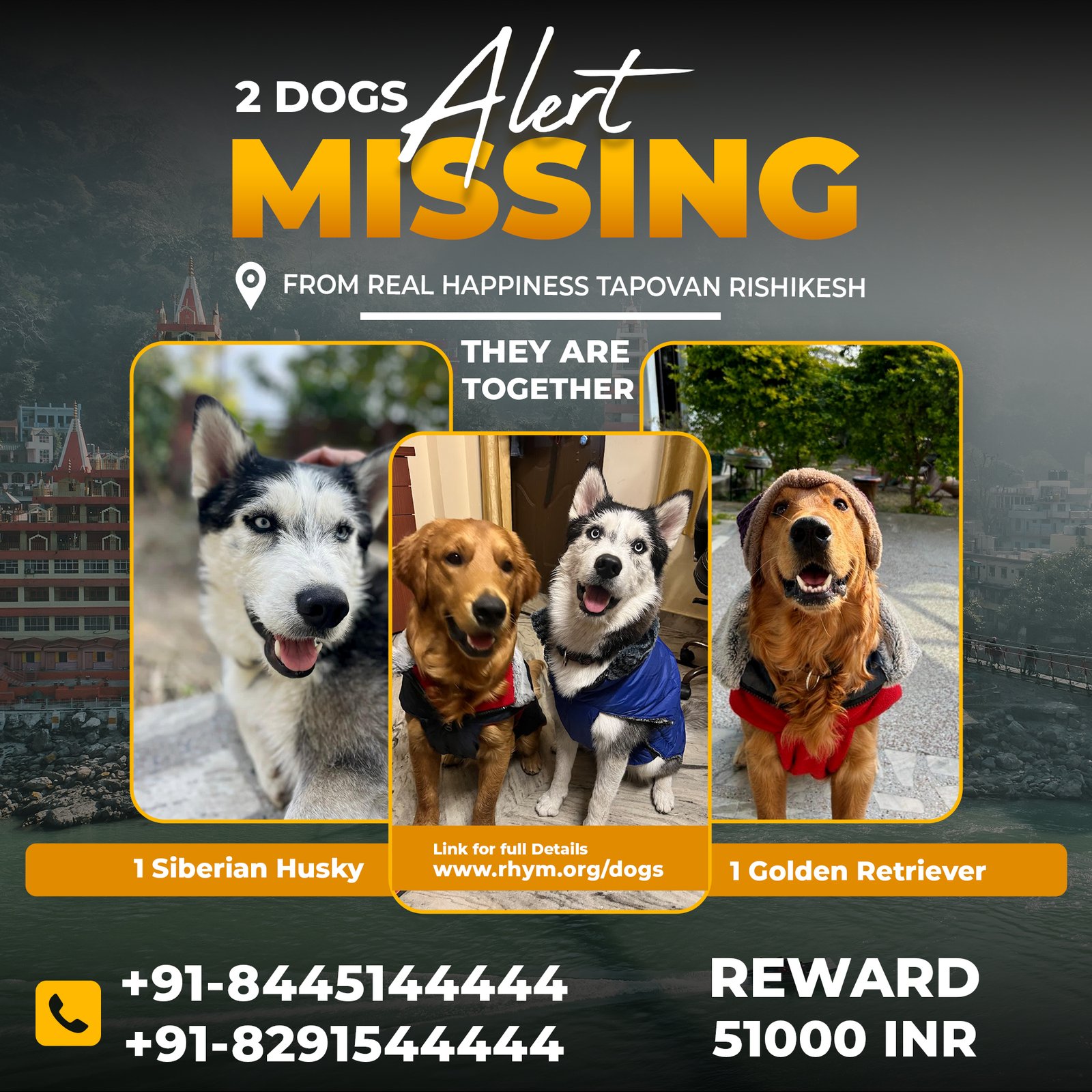 Dog Rescue Rewards Rewards Image