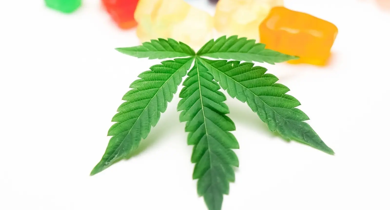 Exploring Cannabis as a Wellness Revolution exploring-cannabis-as-a-wellness-revolution