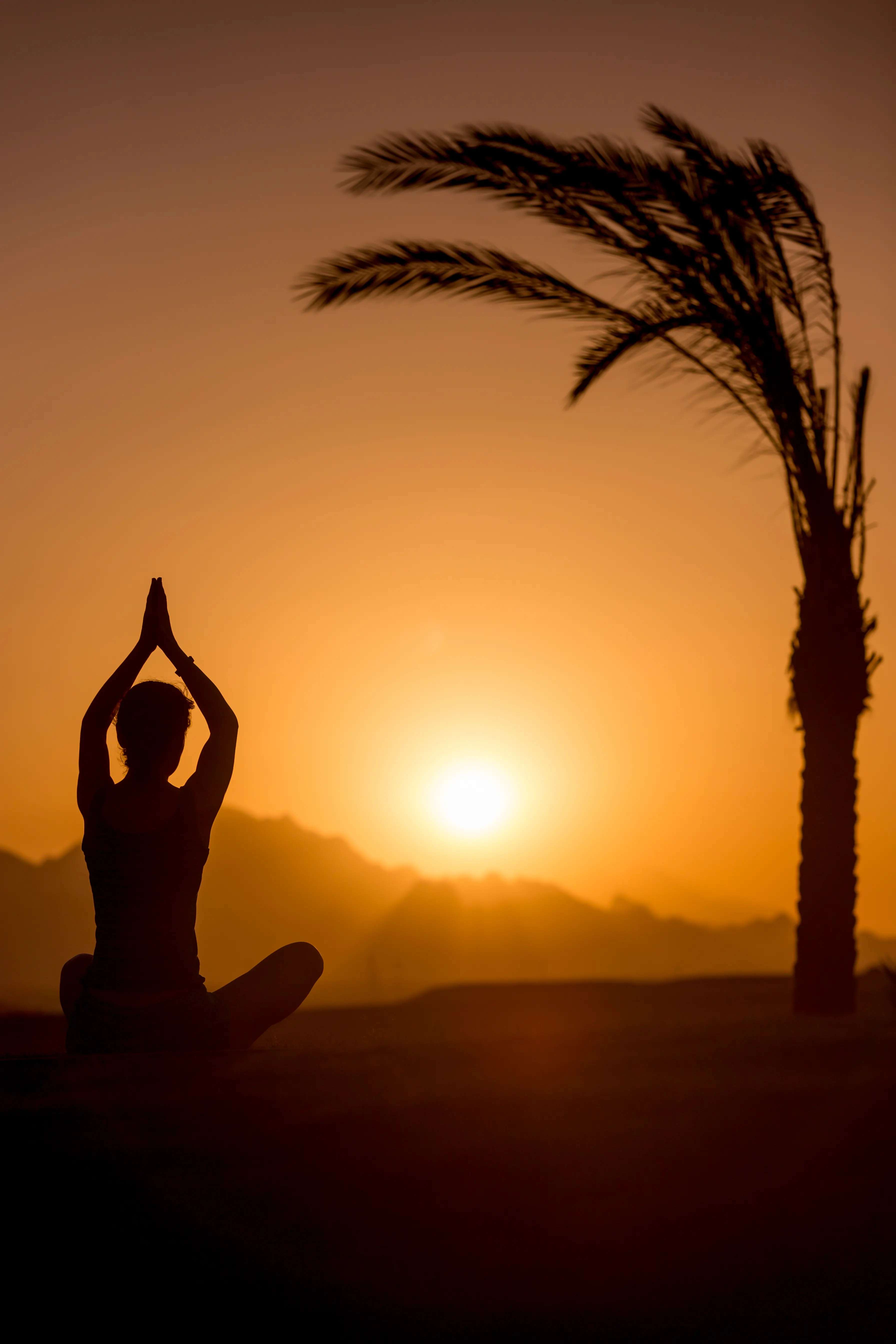 Meditation Retreats