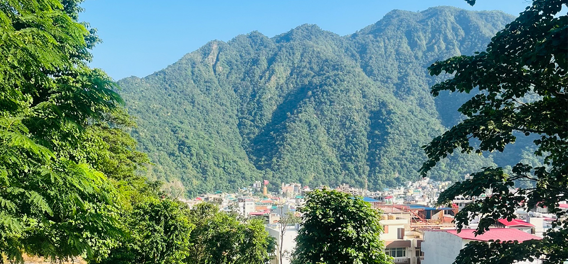 View From Real Happiness